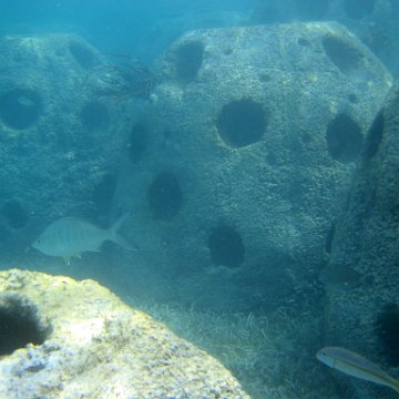 snorkeltrail_013