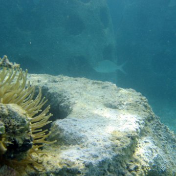 snorkeltrail_015