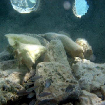 snorkeltrail_016