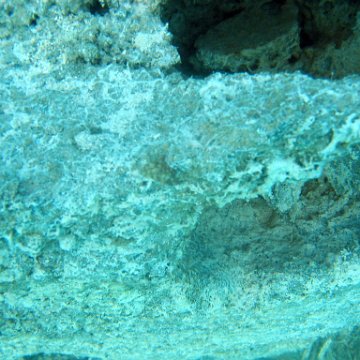 snorkeltrail_034