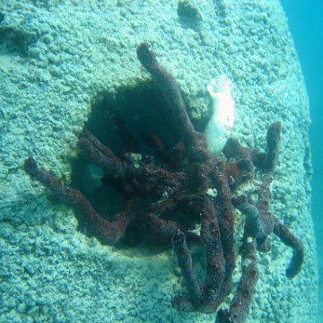 snorkeltrail_038