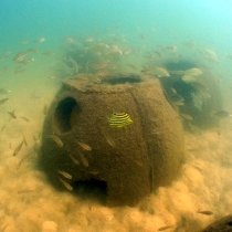 NSW Australia reef-reefs-3