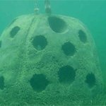 Student Monitoring of Reef Balls