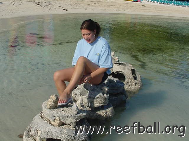 ReefBall003.jpg