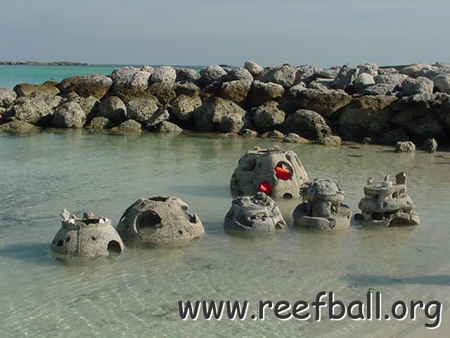 ReefBall005.jpg