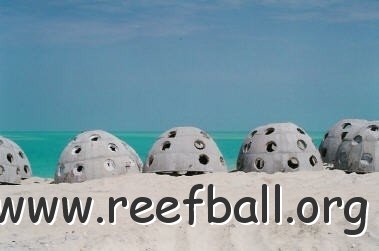 reefball_bah