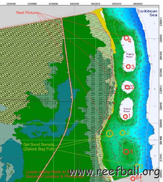 coralandsandsurvey