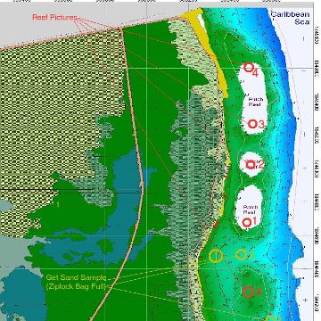 coralmonitoring