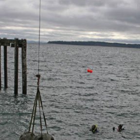 sidneypier2ndreefballextenstionproject