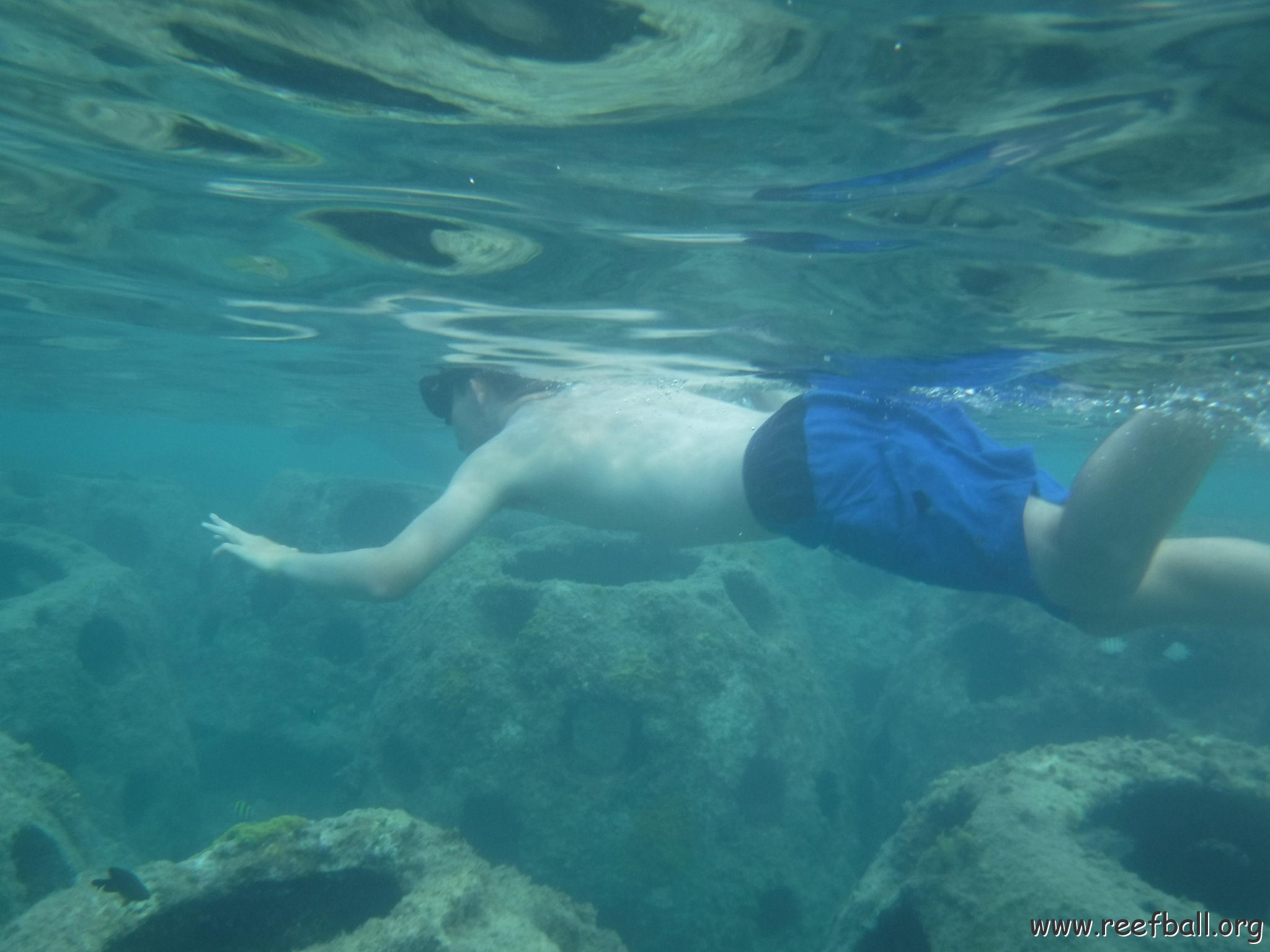 JackKennySnorkeling