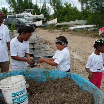 CAYMAN ACADEMY