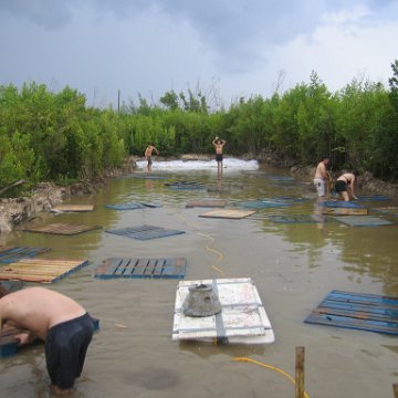 Nursery Pond Lining and Final Prep Work