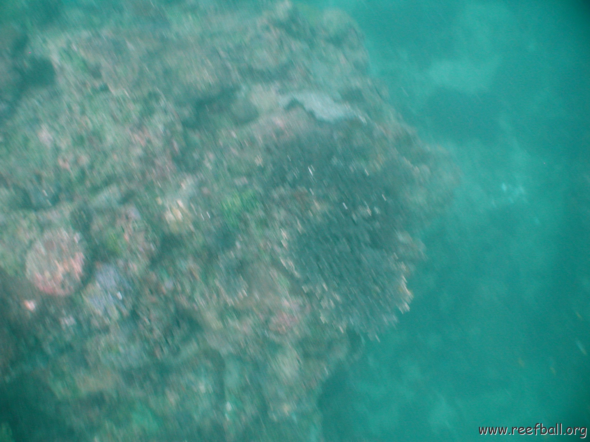 curocaobocaunderwaterleesurvey_090