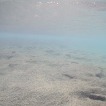 curocaobocaunderwaterleesurvey_171