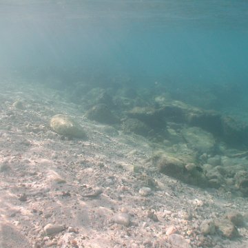 curocaobocaunderwaterleesurvey_181