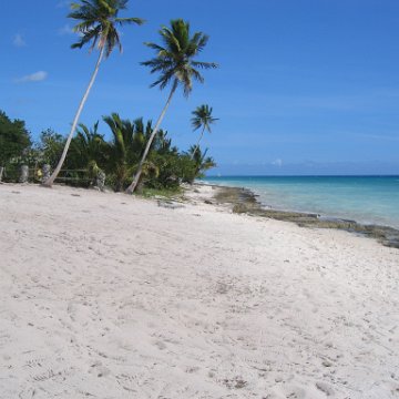 beachviews