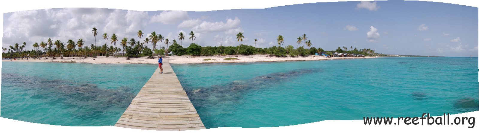 Reef Balls under dock