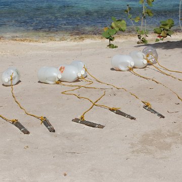 Marker Buoys