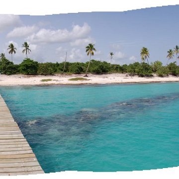 Reef Balls under dock