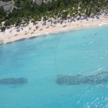 dominicanmay2007helosurveycanoladominicusiberostar 086