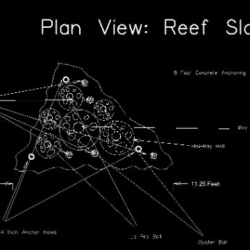 reefslabmitigationproject