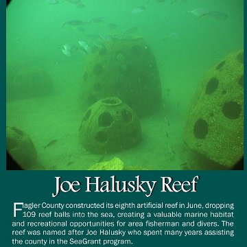 Joe Halusky Reef