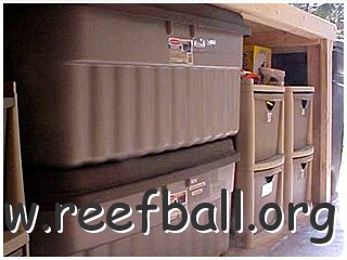 reefball31