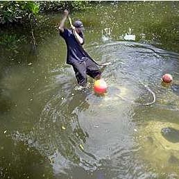 Mosquito Control District Bear Point Mitigation Reef Ball Project