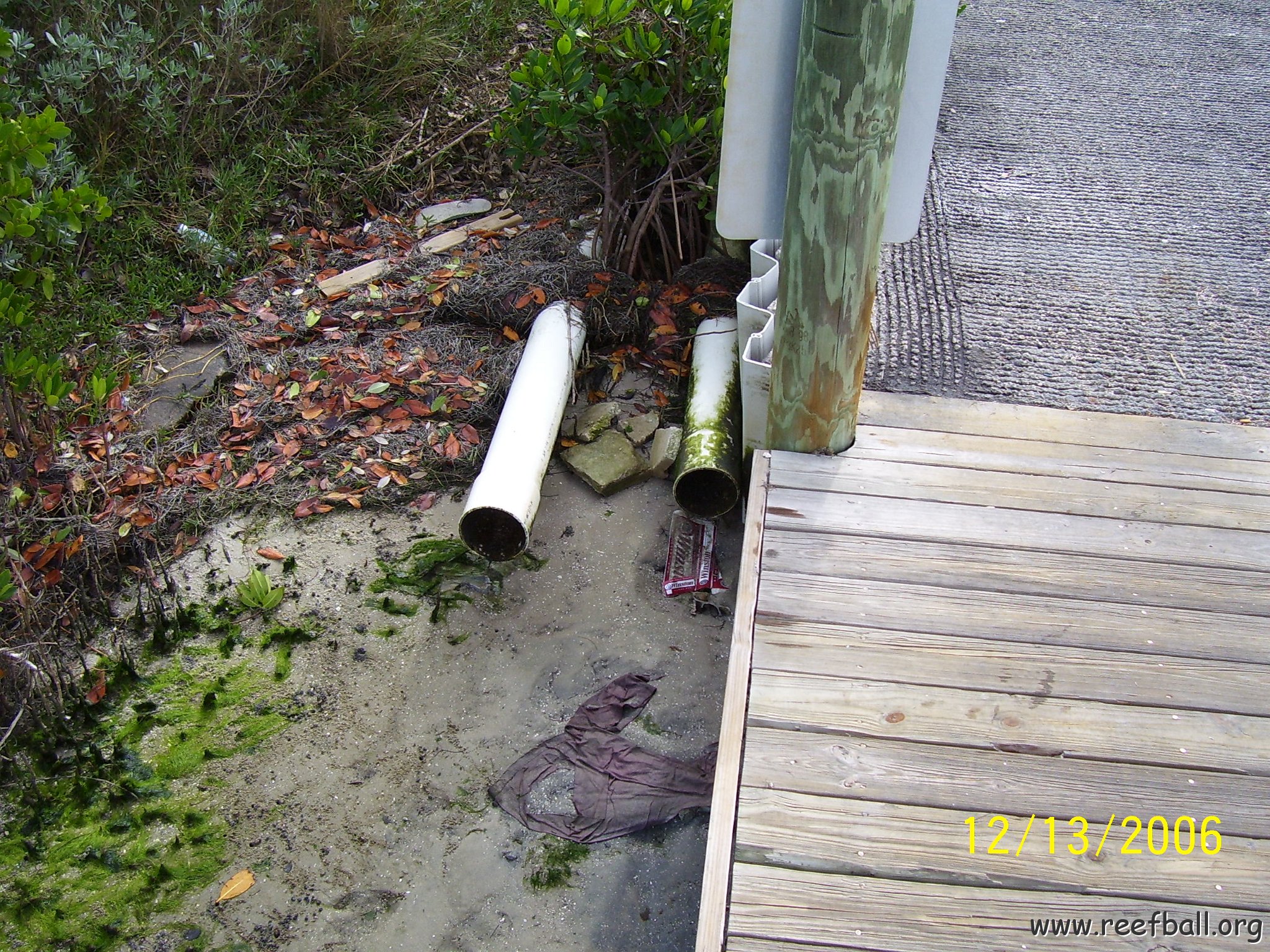 North Causeway Island Inspection 121306 001