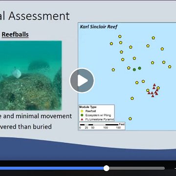 Bell Shoal Reef Ball Project 2000