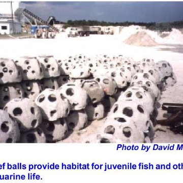 Charlotte Harbor Reef Association SeaWall and Under Dock Reef Ball Project