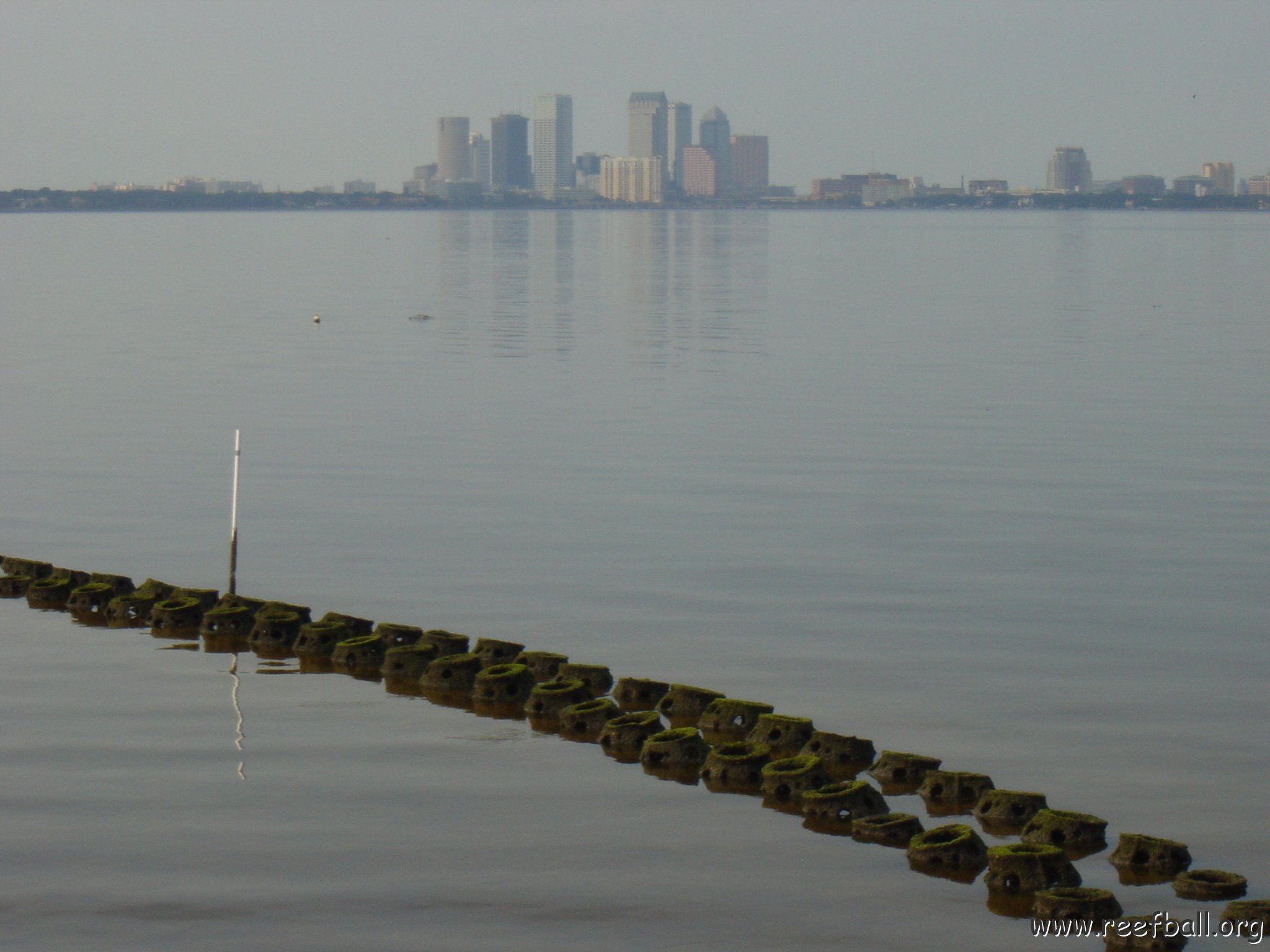 tampa_skyline_and_domes