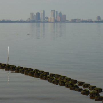 tampa_skyline_and_domes