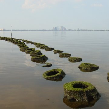 tampa_skyline_closeup_of_domes