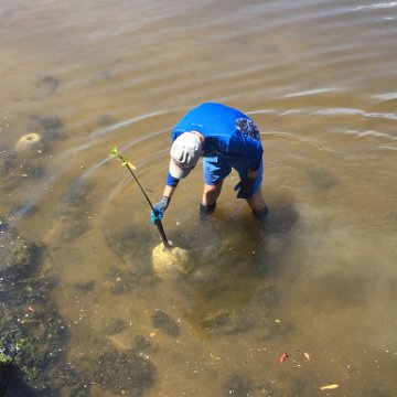 MarkBMangroveProject