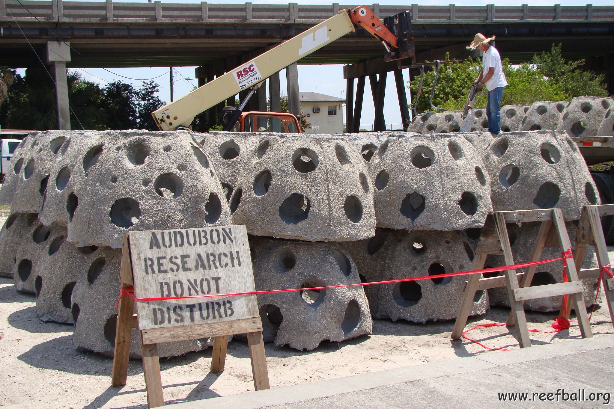 Bird Island reef balls at dock