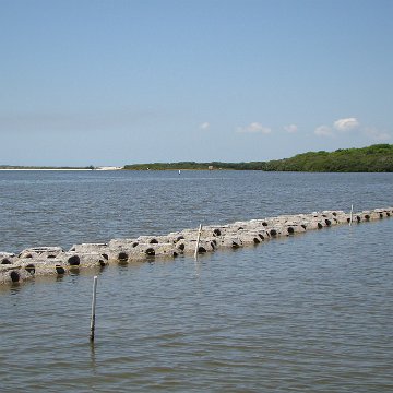 Bird Island east array under construction