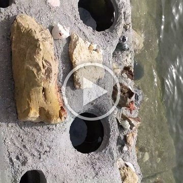 VID_20181011_101713