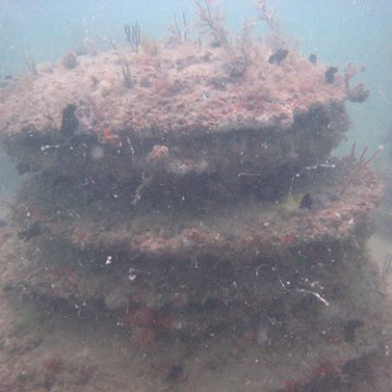 greatburialreefs