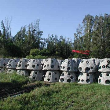 Lake Okeechobee, Florida Reef Ball Project Photos