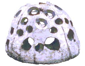 Boule De Récif