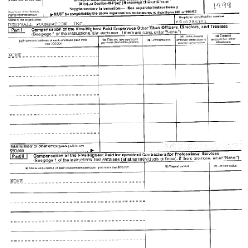 irsform990page10