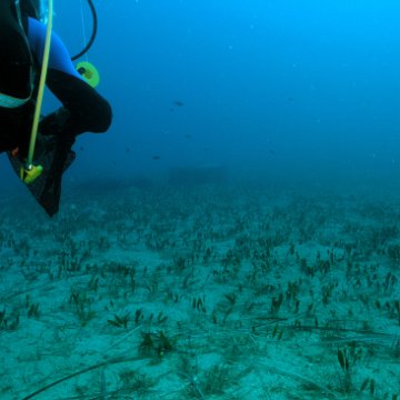 Underwater Shots in the Area of the Proposed Park