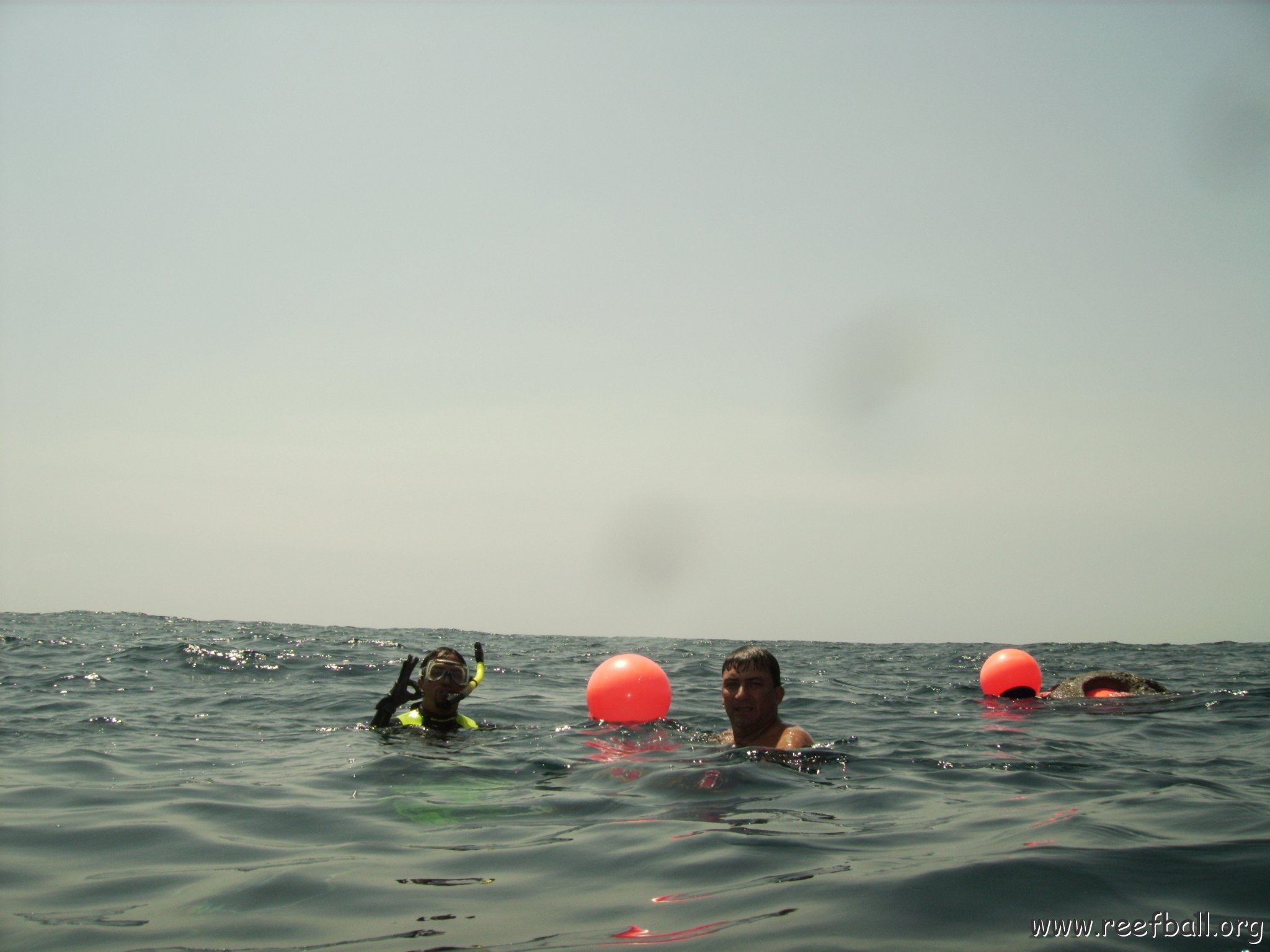 Reef Ball Guatemala Pana Divers 26 Feb. 06 051