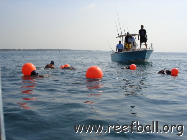 guatemalamarinebiologistpics_097