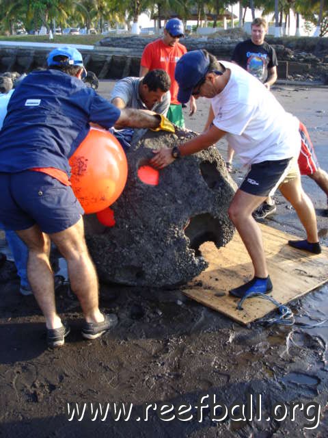 guatemalamarinebiologistpics_026