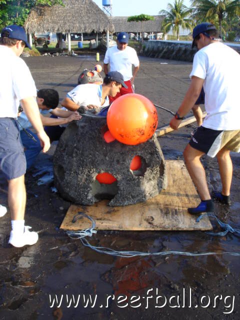 guatemalamarinebiologistpics_028