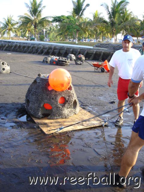 guatemalamarinebiologistpics_030