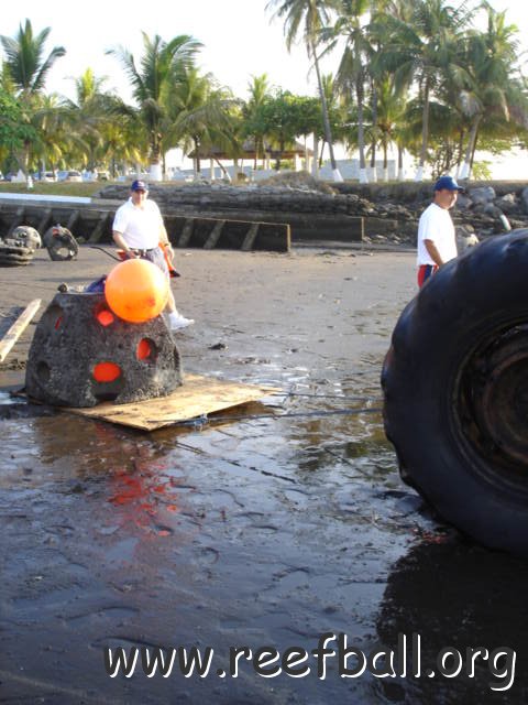 guatemalamarinebiologistpics_031