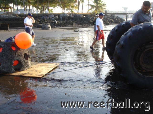 guatemalamarinebiologistpics_032